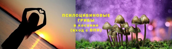 таблы Козловка
