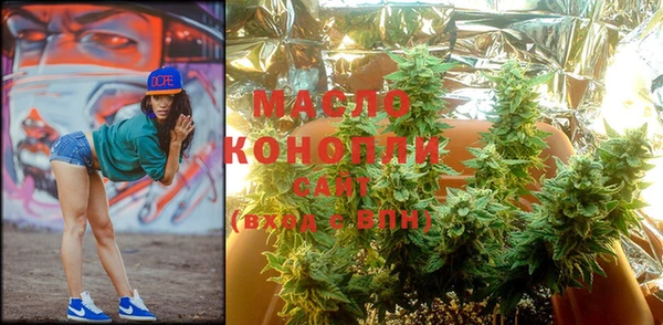 индика Кинешма