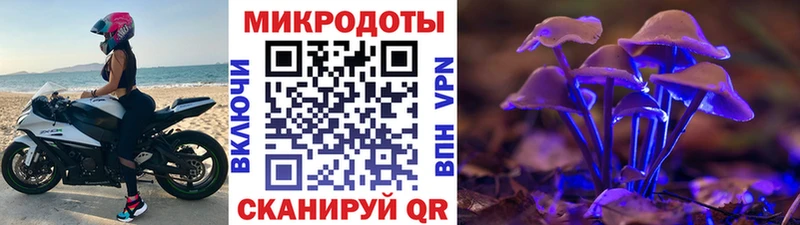 Галлюциногенные грибы Psilocybine cubensis  Томари 